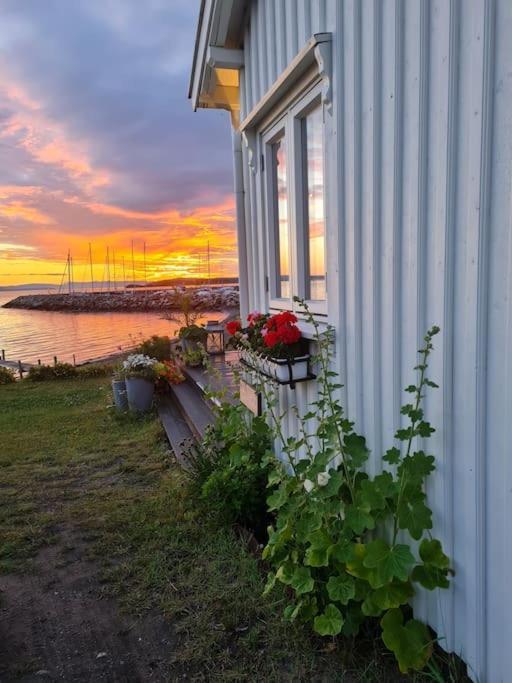 Charming Beach House Villa Moss Eksteriør bilde