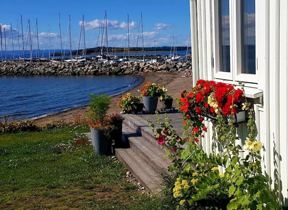 Charming Beach House Villa Moss Eksteriør bilde